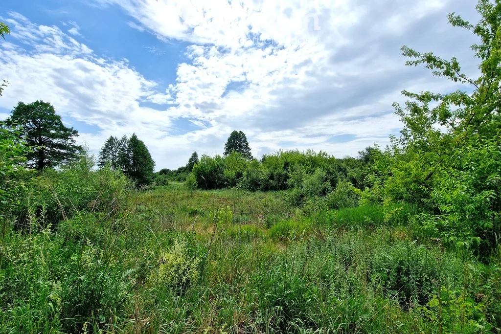 Działka 23 000,00 m², Biała Podlaska, Sprzedaż