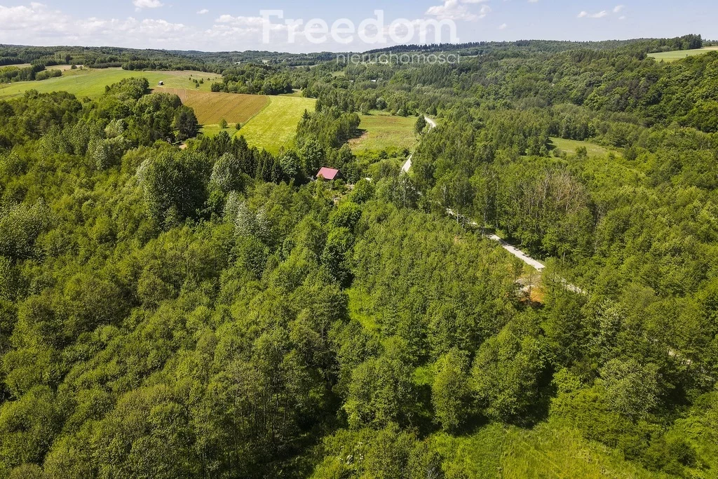 Działka 78 800,00 m², oferta nr , 7950/3685/OGS, Błażowa Górna