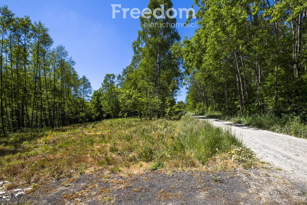 Działka 78 800,00 m², oferta nr , 7950/3685/OGS, Błażowa Górna