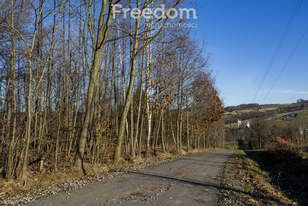 Działka 2 238,00 m², oferta nr , 11153/3685/OGS, Błędowa Tyczyńska