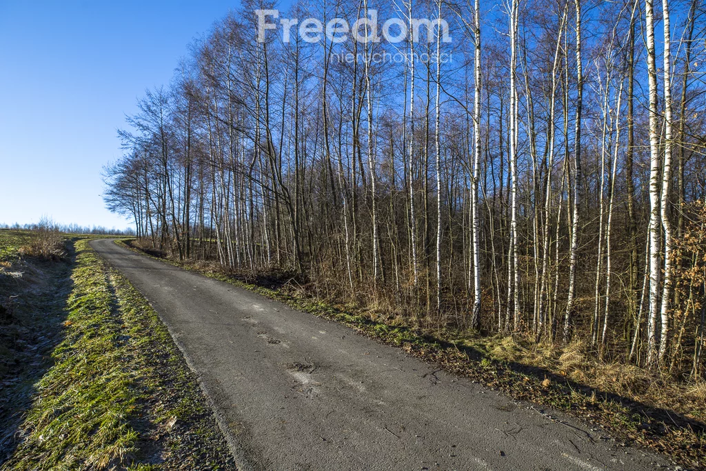 Działka 2 238,00 m², oferta nr , 11153/3685/OGS, Błędowa Tyczyńska