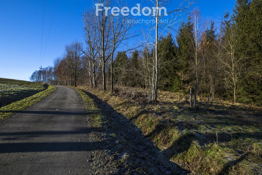 Działka 2 238,00 m², oferta nr , 11153/3685/OGS, Błędowa Tyczyńska