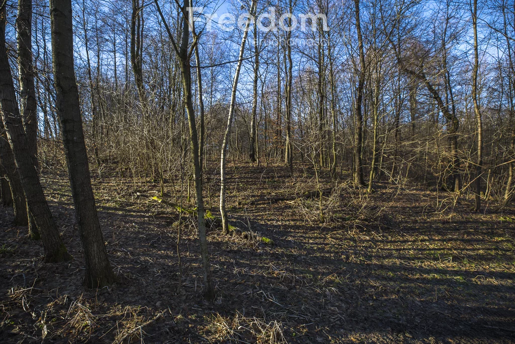 Działka 2 238,00 m², oferta nr , 11153/3685/OGS, Błędowa Tyczyńska