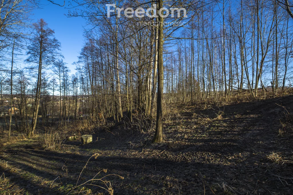 Działka 2 238,00 m², oferta nr , 11153/3685/OGS, Błędowa Tyczyńska
