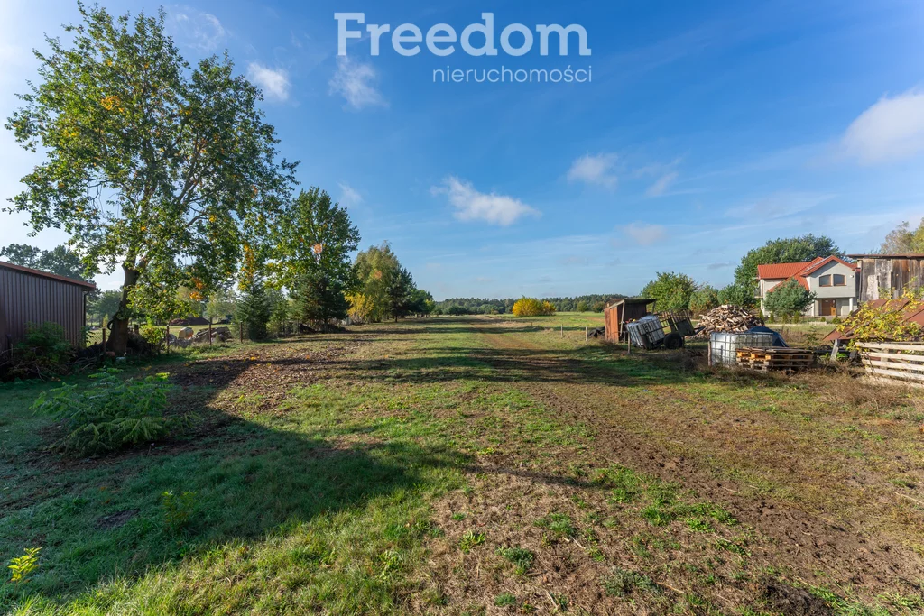 Działka 28 300,00 m², oferta nr , 9009/3685/OGS, Borki, Błękitna