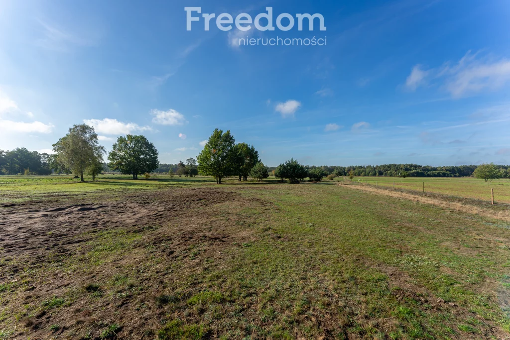 Działka 28 300,00 m², oferta nr , 9009/3685/OGS, Borki, Błękitna