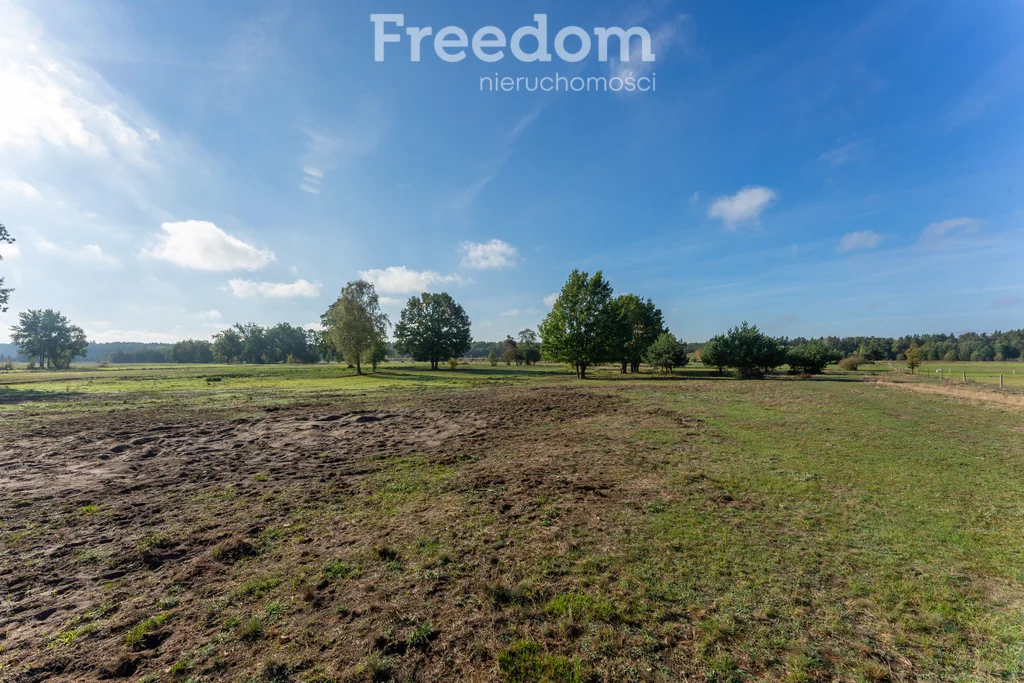 Działka 28 300,00 m², oferta nr , 9009/3685/OGS, Borki, Błękitna
