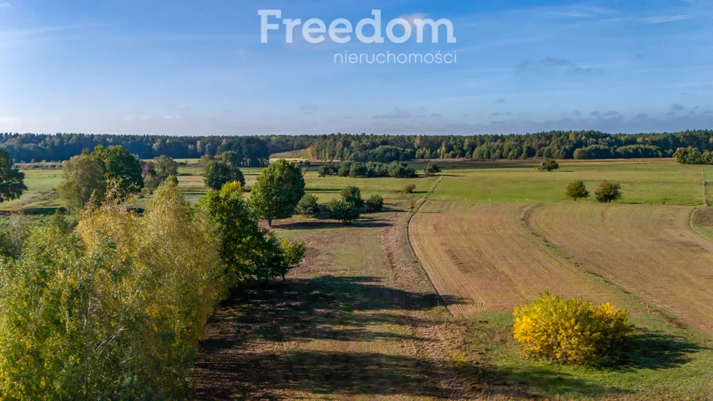 Działka 28 300,00 m², oferta nr , 9009/3685/OGS, Borki, Błękitna