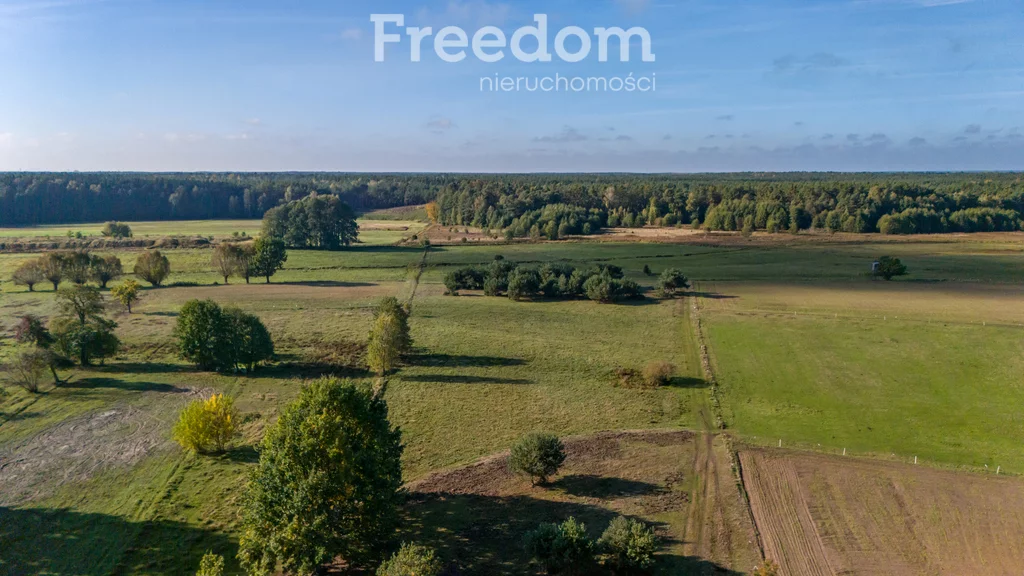 Działka 28 300,00 m², oferta nr , 9009/3685/OGS, Borki, Błękitna