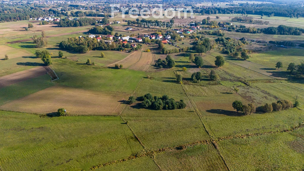 Działka 28 300,00 m², oferta nr , 9009/3685/OGS, Borki, Błękitna