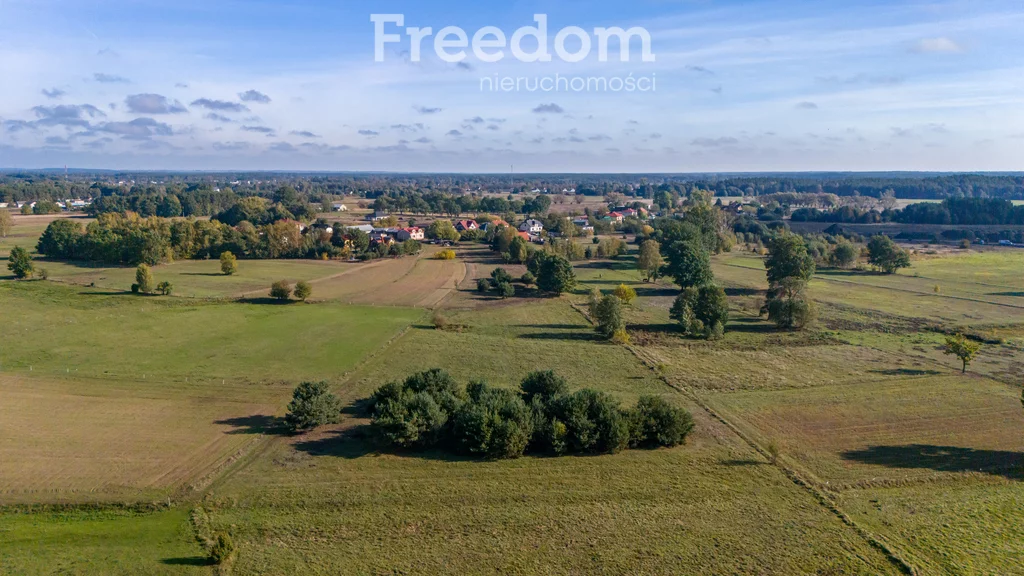 Działka 28 300,00 m², oferta nr , 9009/3685/OGS, Borki, Błękitna