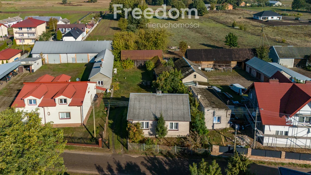 Działka 28 300,00 m², oferta nr , 9009/3685/OGS, Borki, Błękitna