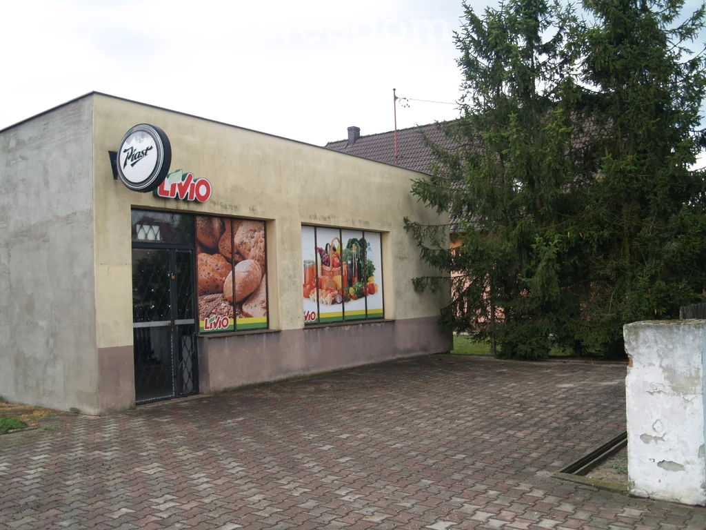 10929/3685/OGS - zdjęcie nr 4