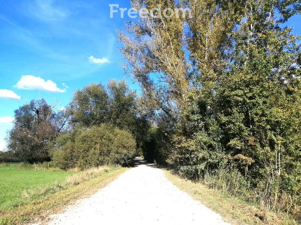 Działka 1 197,00 m², oferta nr , 11488/3685/OGS, Dziekanów Polski, Błotna