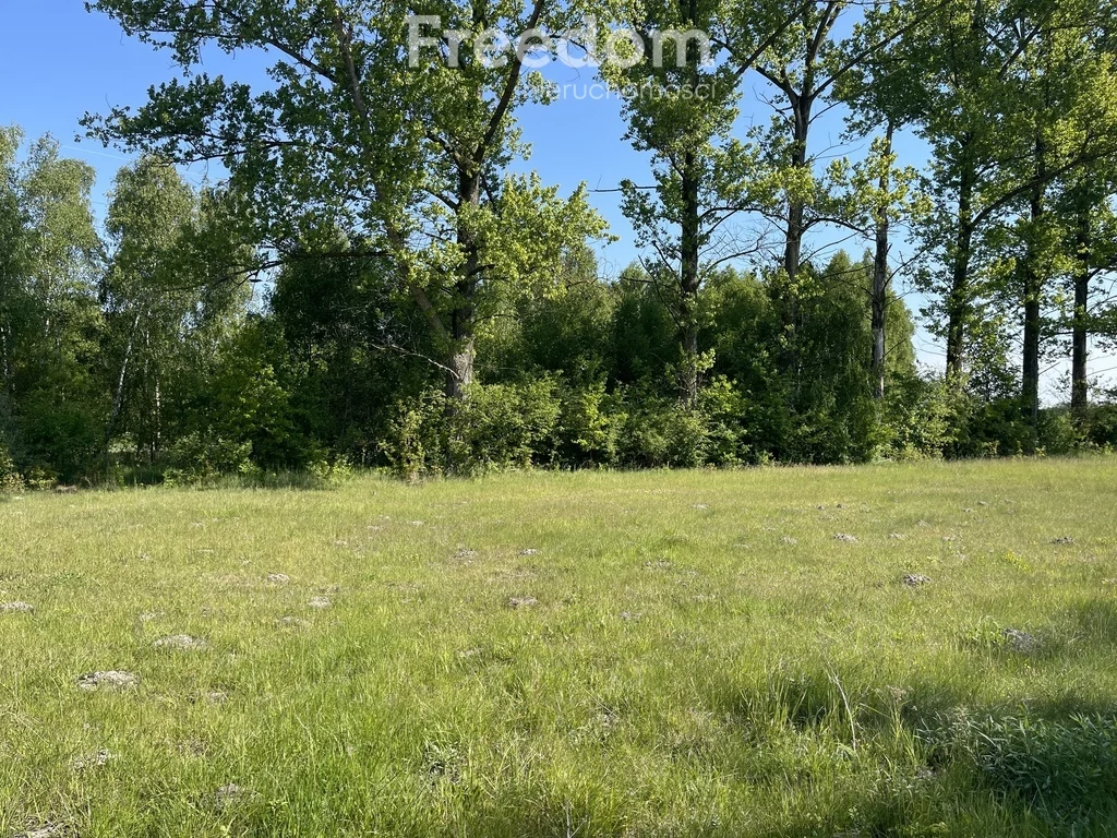 Działka 1 353,00 m², oferta nr , 11170/3685/OGS, Pabianice, Bociania