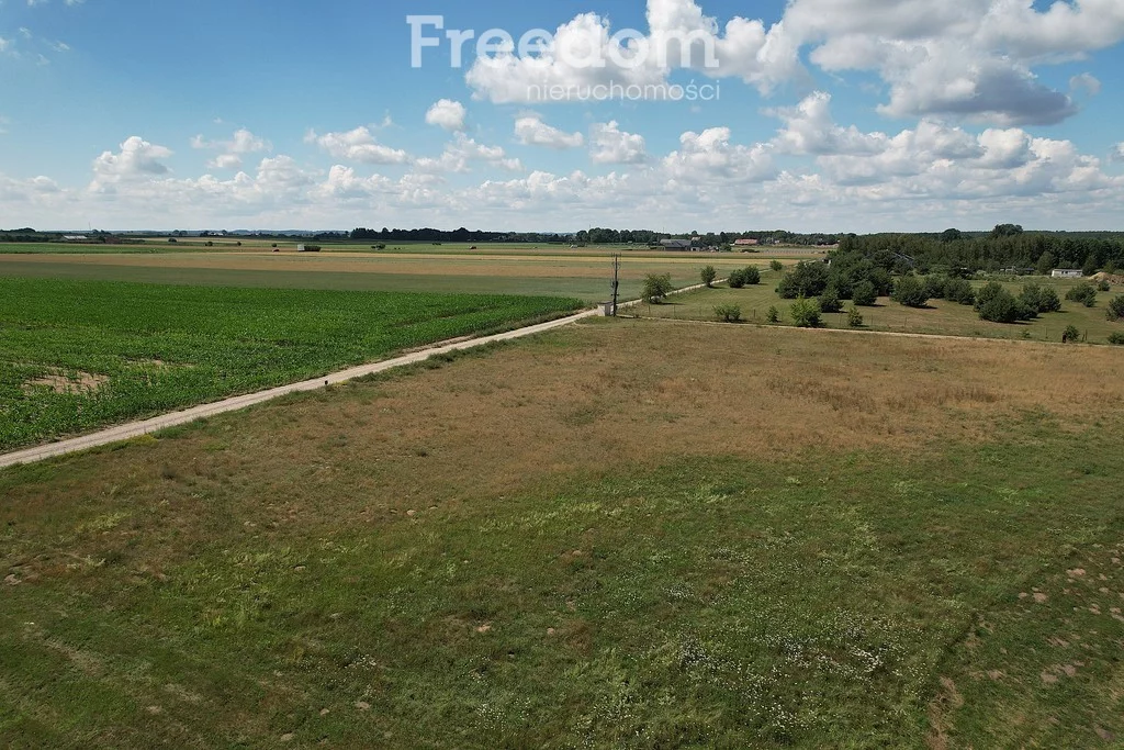 Działka 3 005,00 m², oferta nr , 5971/3685/OGS, Bogusze