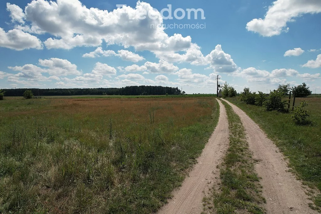 Działka 3 005,00 m², oferta nr , 5971/3685/OGS, Bogusze