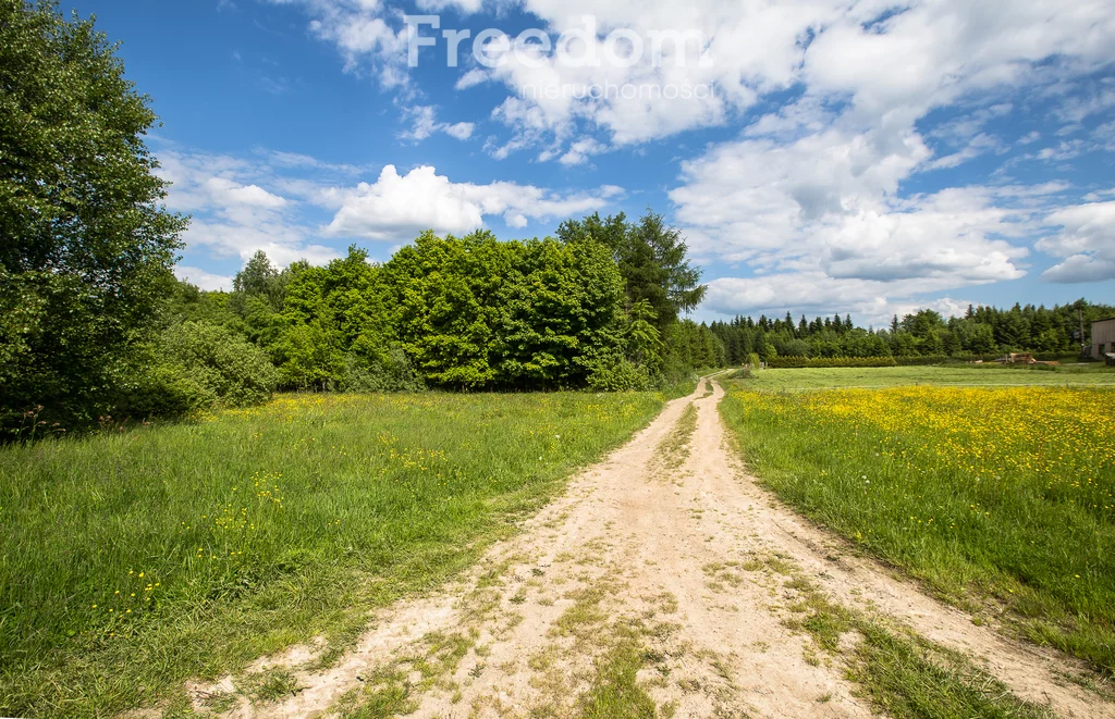Działka 11 700,00 m², oferta nr , 6493/3685/OGS, Borownica