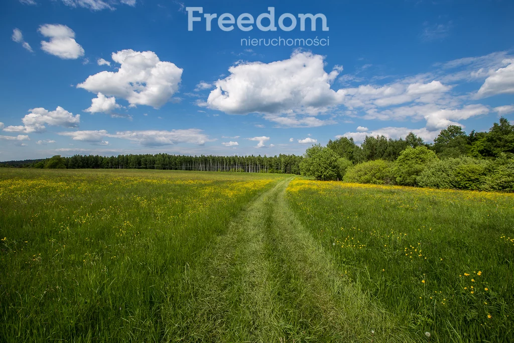 Działka 11 700,00 m², oferta nr , 6493/3685/OGS, Borownica