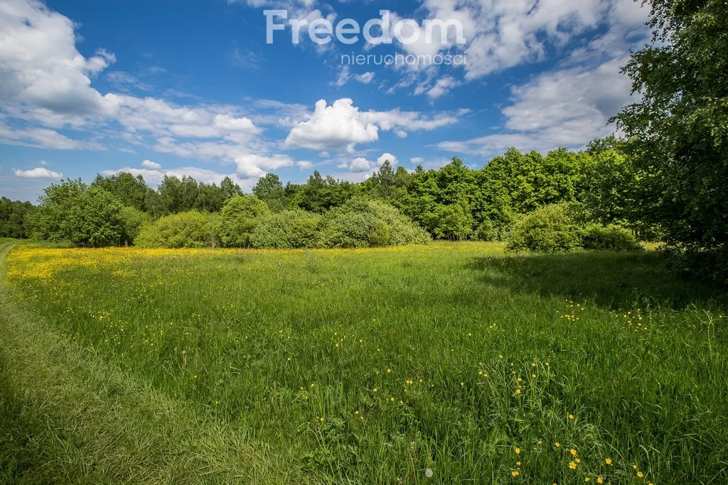 Działka 11 700,00 m², oferta nr , 6493/3685/OGS, Borownica
