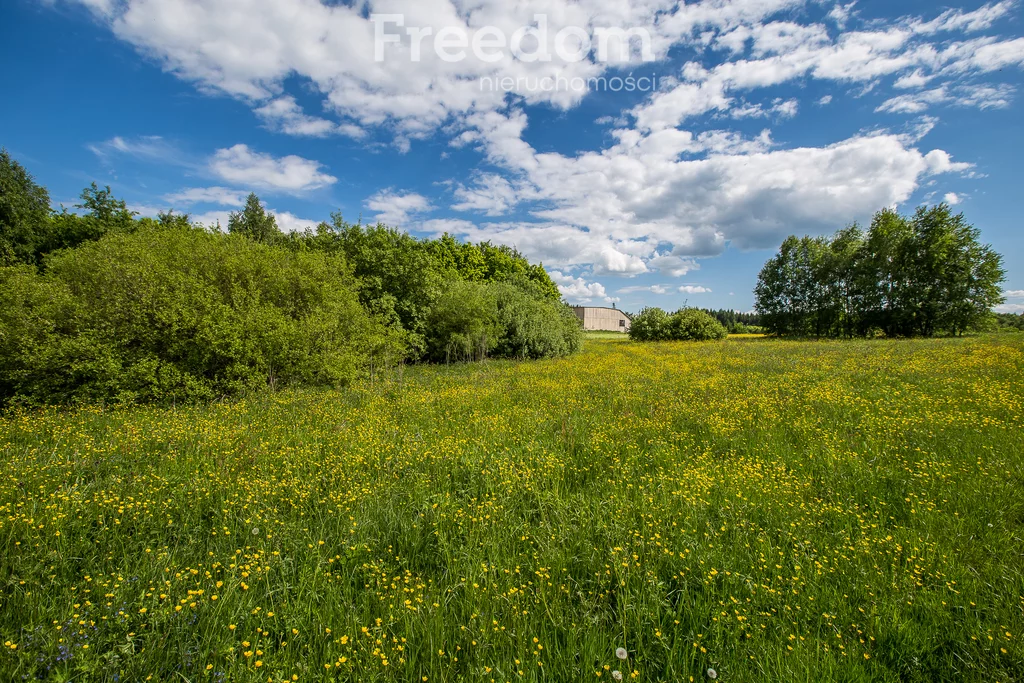 Działka 11 700,00 m², oferta nr , 6493/3685/OGS, Borownica