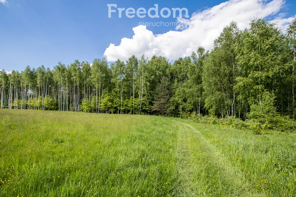 Działka 11 700,00 m², oferta nr , 6493/3685/OGS, Borownica