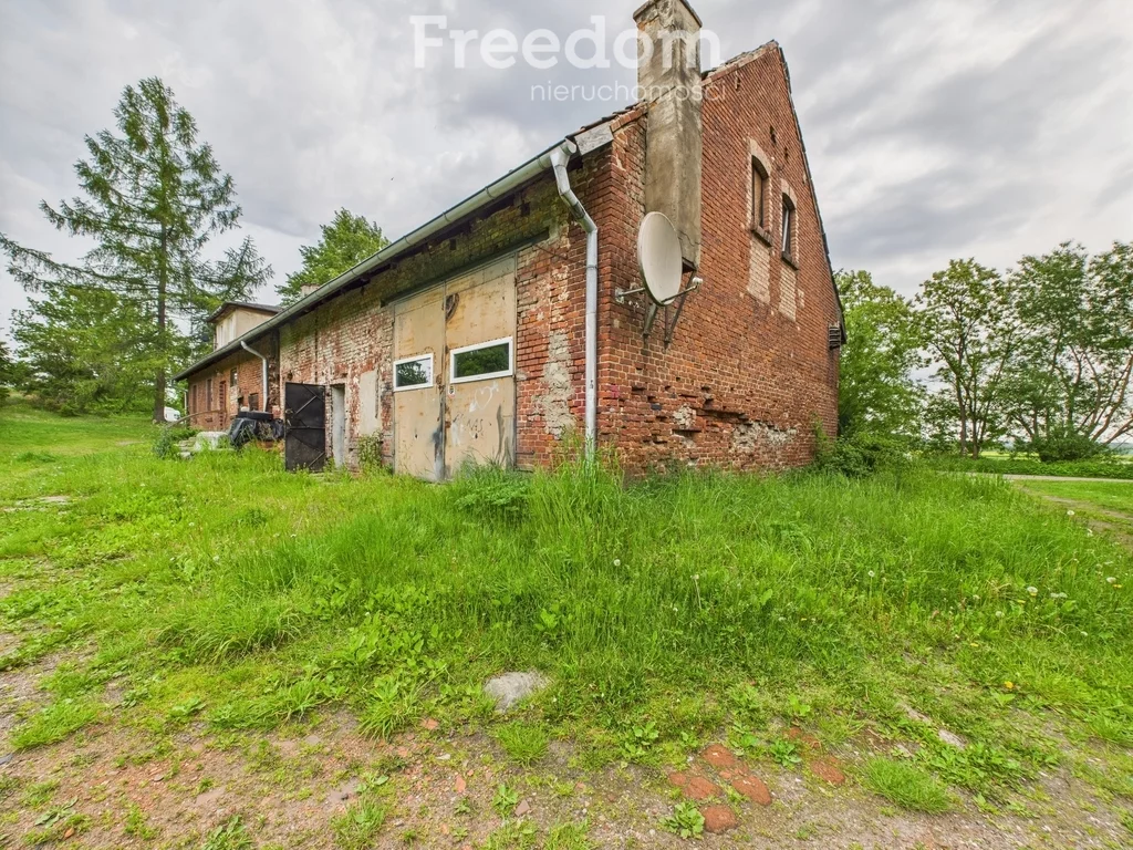 Działka 5 400,00 m², oferta nr , 11147/3685/OGS, Borzynowo