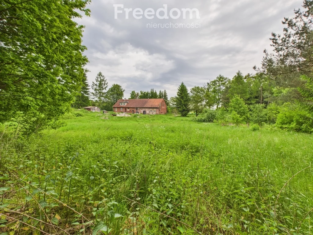 Działka 5 400,00 m², oferta nr , 11299/3685/OGS, Borzynowo