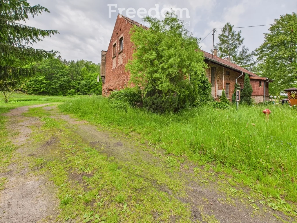 Działka 5 400,00 m², oferta nr , 11299/3685/OGS, Borzynowo