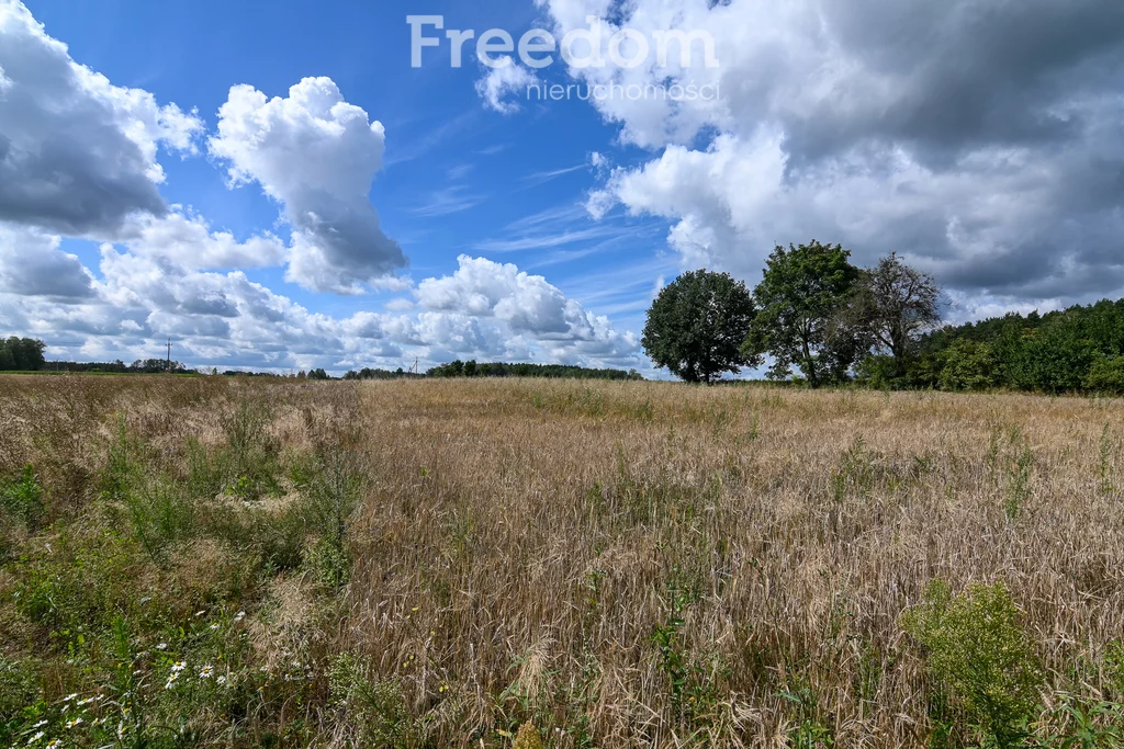 Działka 2 119,00 m², oferta nr , 9519/3685/OGS, Brodna