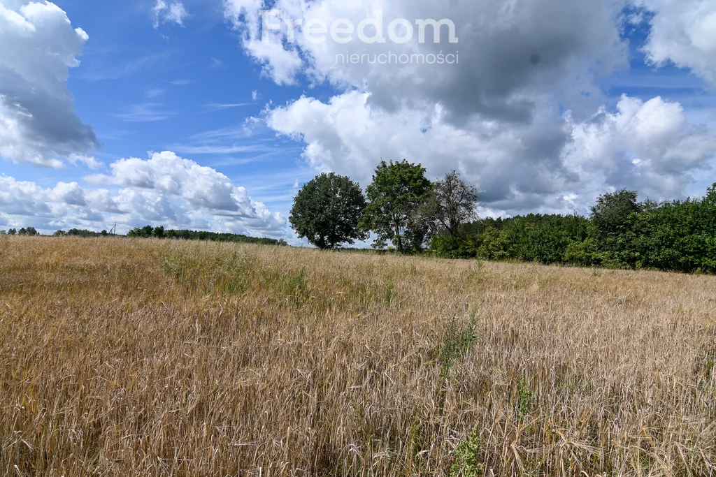 Działka 2 119,00 m², oferta nr , 9519/3685/OGS, Brodna