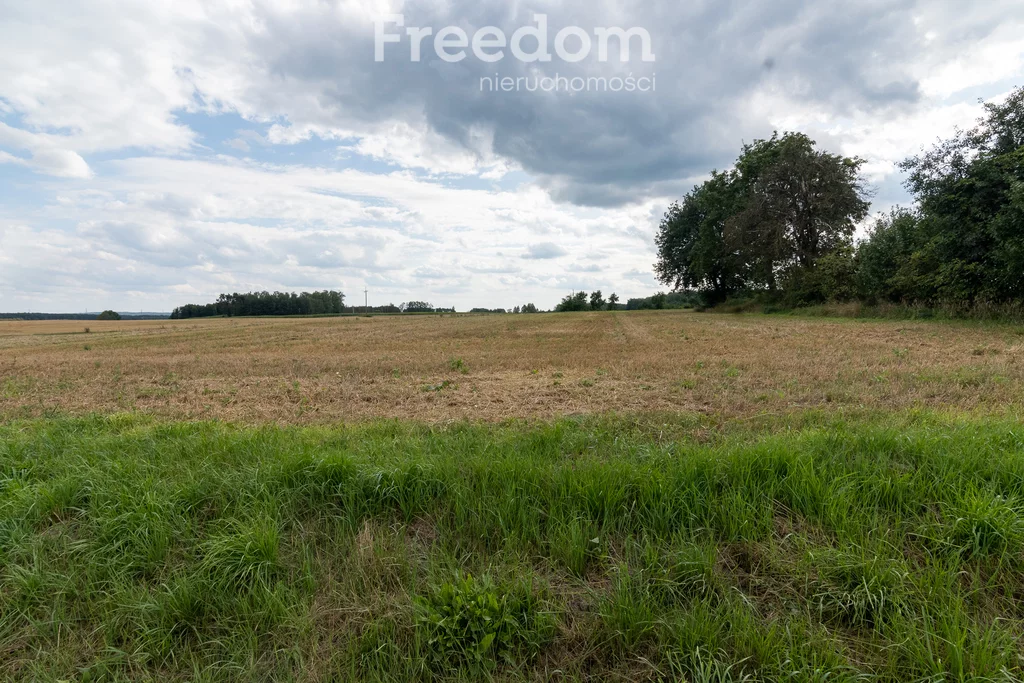 Działka 2 119,00 m², oferta nr , 9519/3685/OGS, Brodna