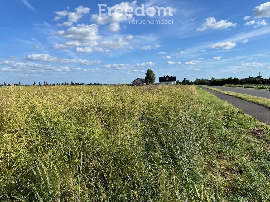 Apartamenty 10865/3685/OGS Browina