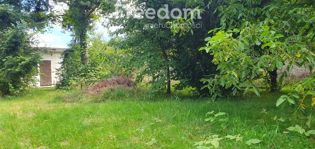 10963/3685/OGS - zdjęcie nr 4