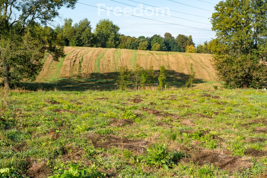 Działka 3 500,00 m², oferta nr , 11280/3685/OGS, Brzeźnica