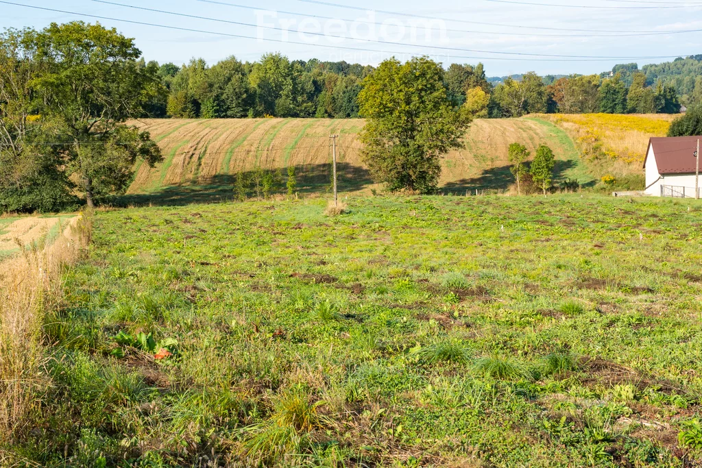 Działka 3 500,00 m², oferta nr , 11280/3685/OGS, Brzeźnica