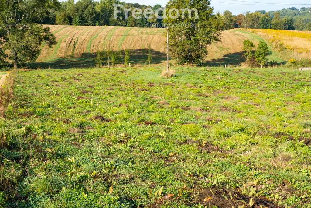 Działka 3 500,00 m², oferta nr , 11280/3685/OGS, Brzeźnica