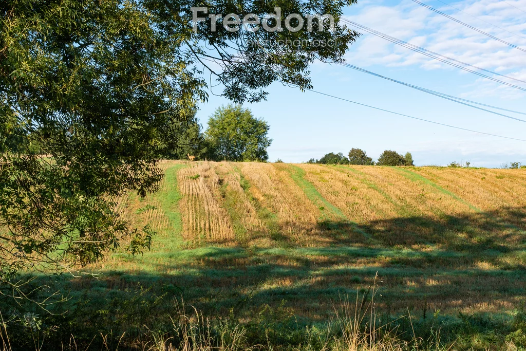 Działka 3 500,00 m², oferta nr , 11280/3685/OGS, Brzeźnica