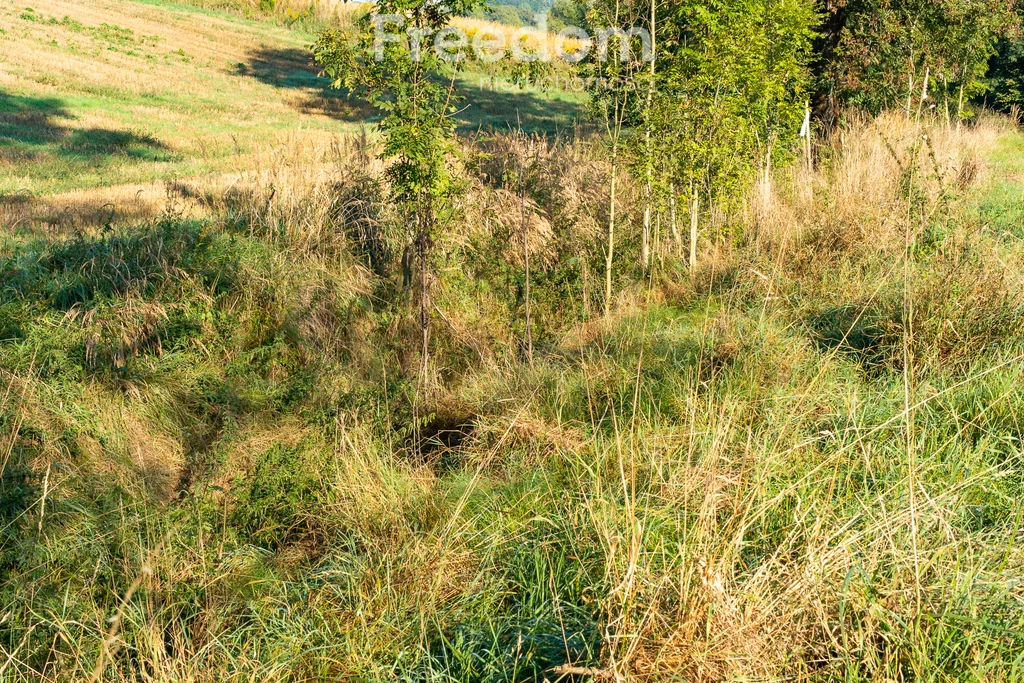 Działka 3 500,00 m², oferta nr , 11280/3685/OGS, Brzeźnica