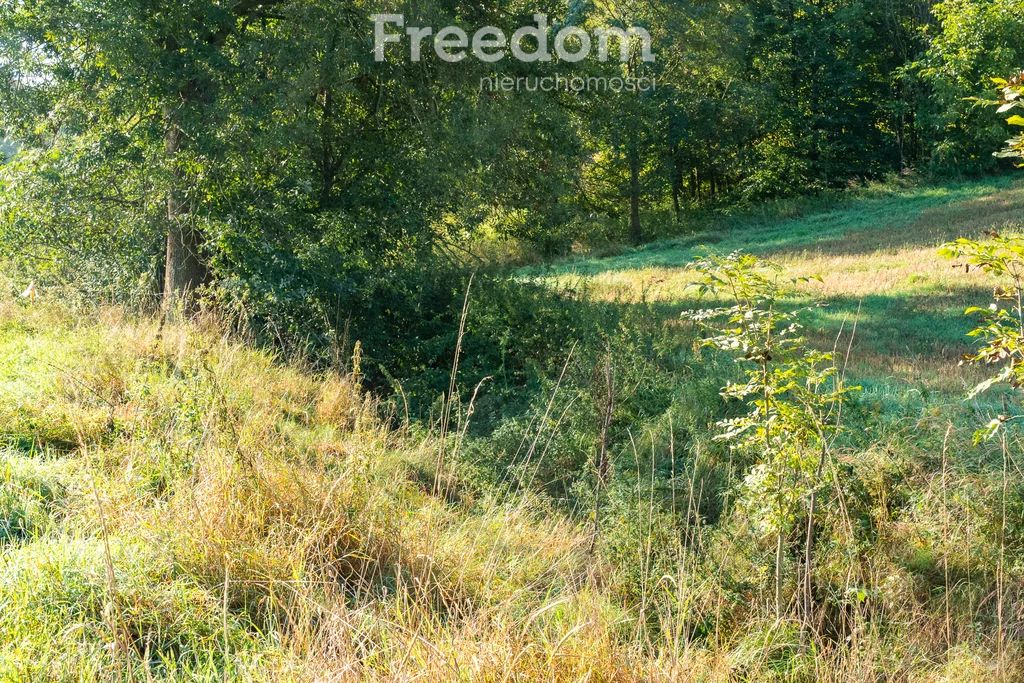 Działka 3 500,00 m², oferta nr , 11280/3685/OGS, Brzeźnica