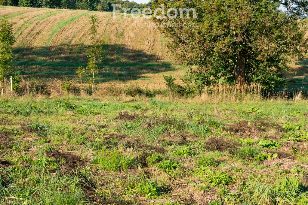 Działka 3 501,00 m², oferta nr , 11281/3685/OGS, Brzeźnica