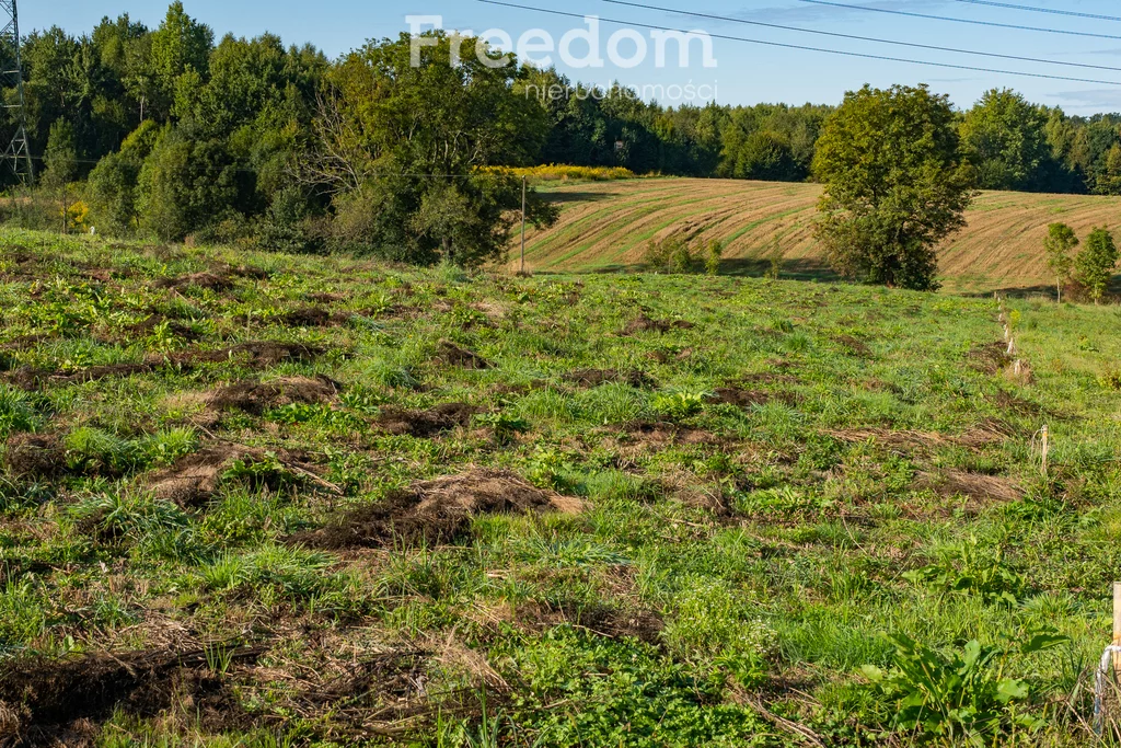 Działka 3 501,00 m², oferta nr , 11281/3685/OGS, Brzeźnica