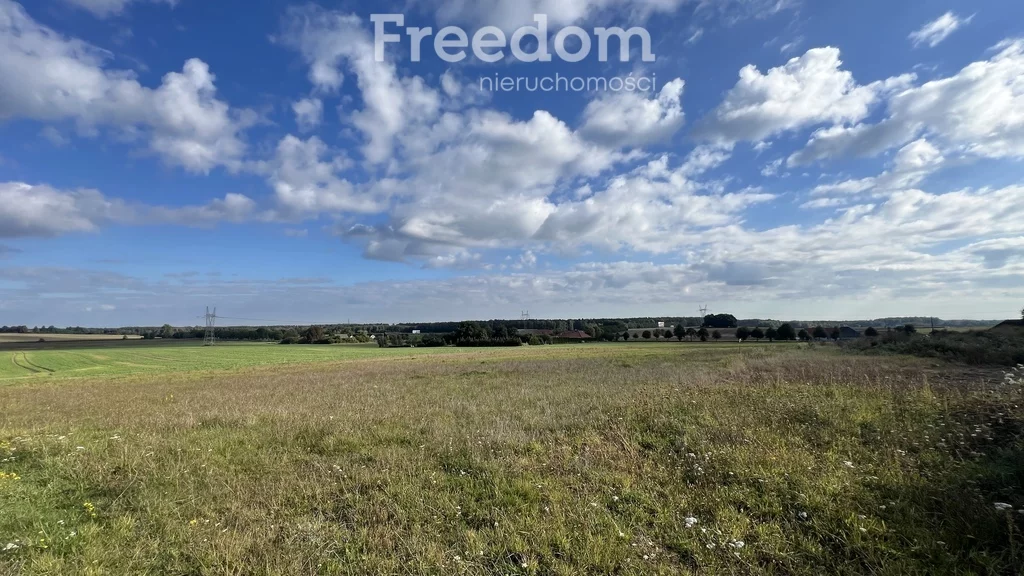 Apartamenty 11367/3685/OGS Brzozowo