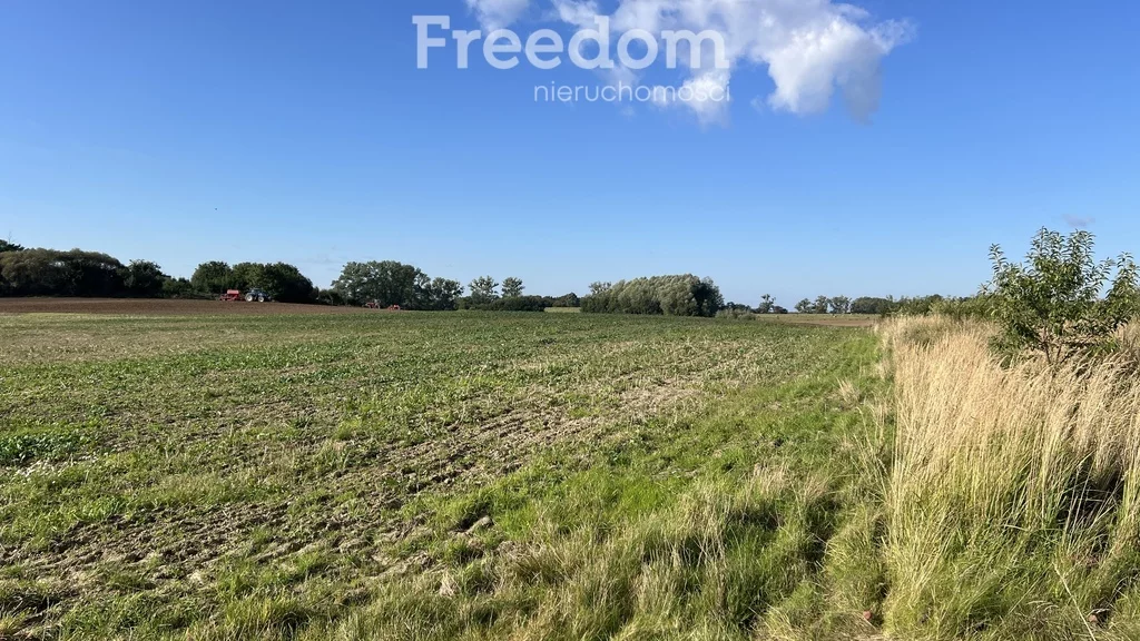 Działka 10 432,00 m², oferta nr , 11367/3685/OGS, Brzozowo