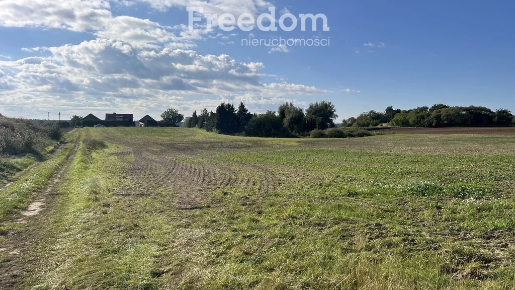 Działka 10 432,00 m², oferta nr , 11367/3685/OGS, Brzozowo