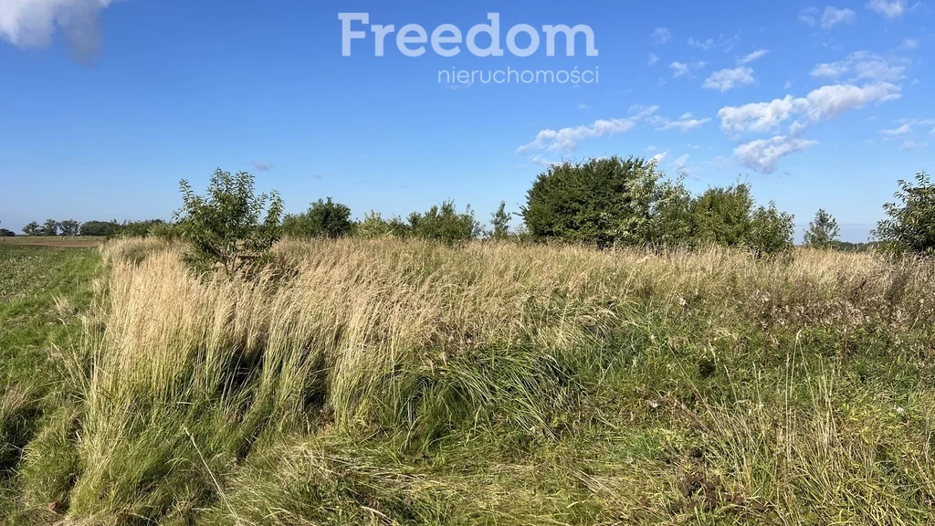 Działka 10 432,00 m², oferta nr , 11367/3685/OGS, Brzozowo