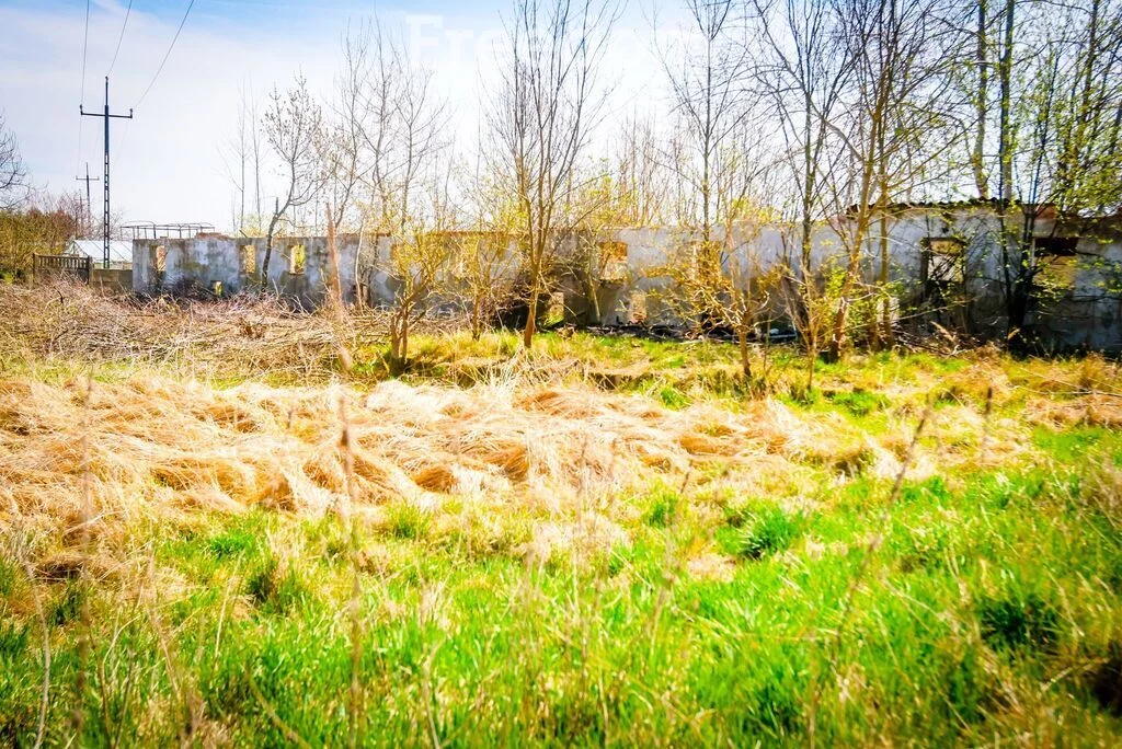 Działka 48 416,00 m², oferta nr , 10348/3685/OGS, Brzyczno