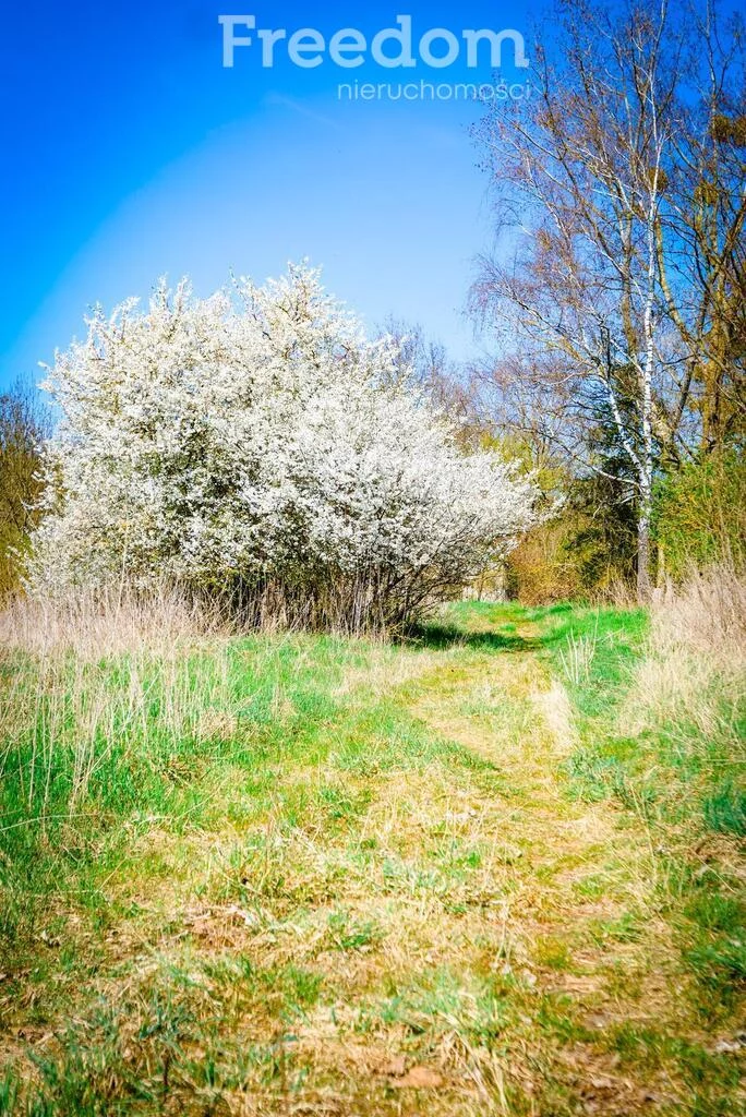 Działka 48 416,00 m², oferta nr , 10348/3685/OGS, Brzyczno