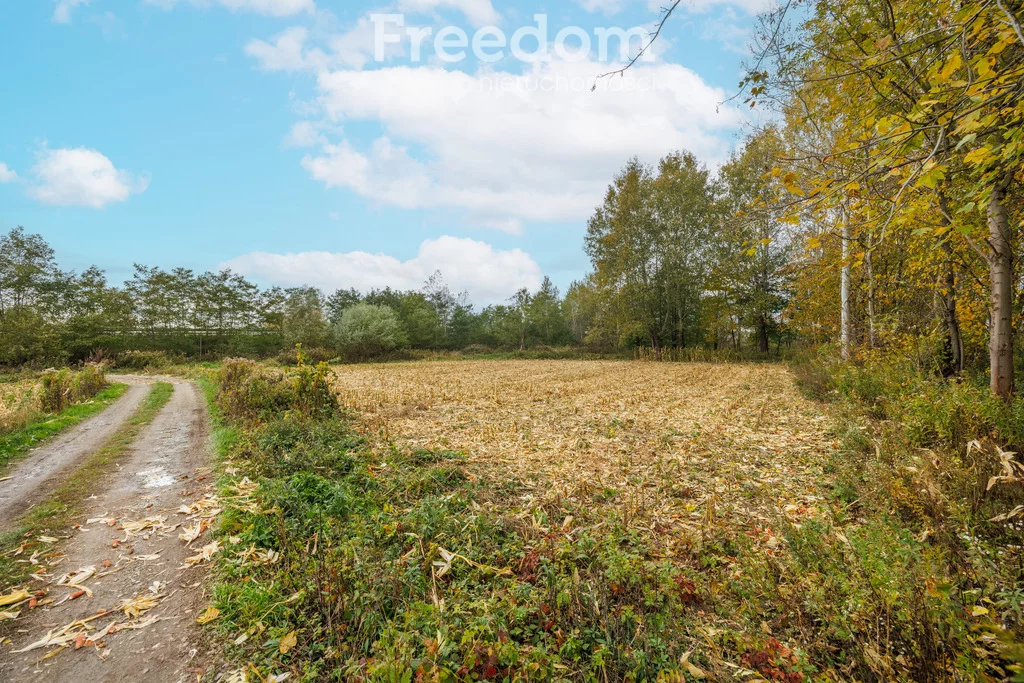 Działka 7 400,00 m², oferta nr , 11504/3685/OGS, Budy Łańcuckie