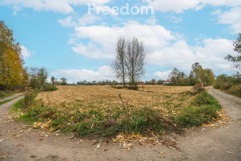 Działka 7 400,00 m², oferta nr , 11504/3685/OGS, Budy Łańcuckie